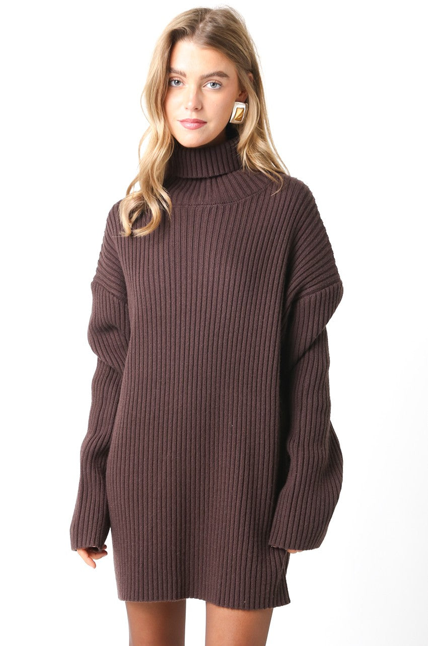 Warm Embrace Sweater Dress