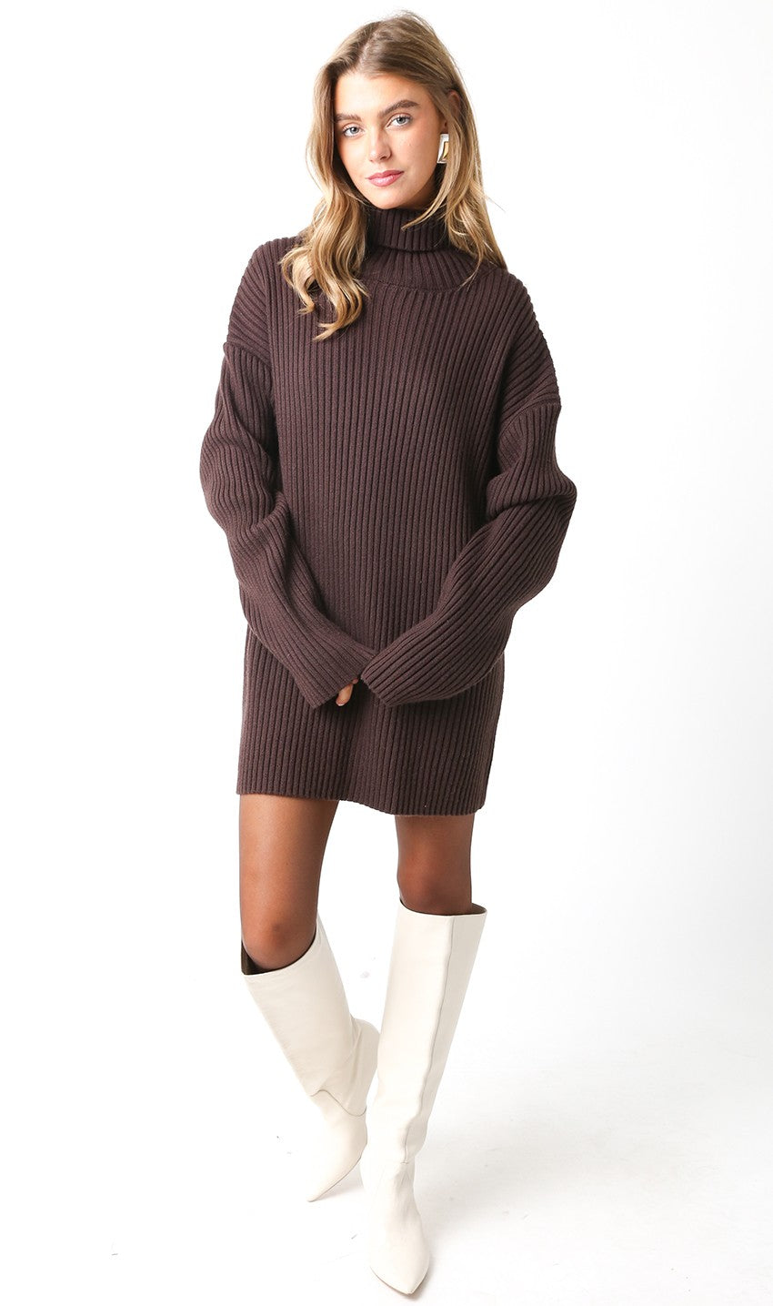 Warm Embrace Sweater Dress