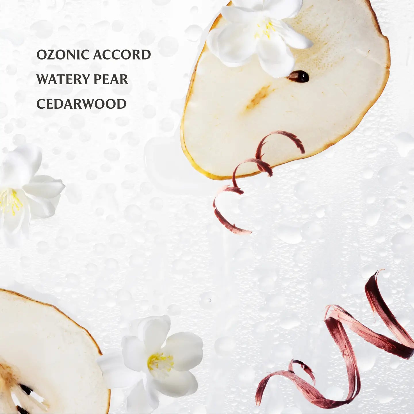 Power Mist - Rainwater