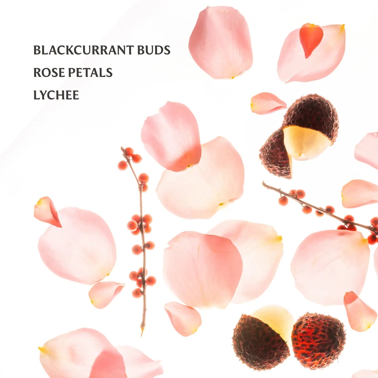 Glow Mist - Rosewater