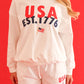 USA Embroidered Shorts