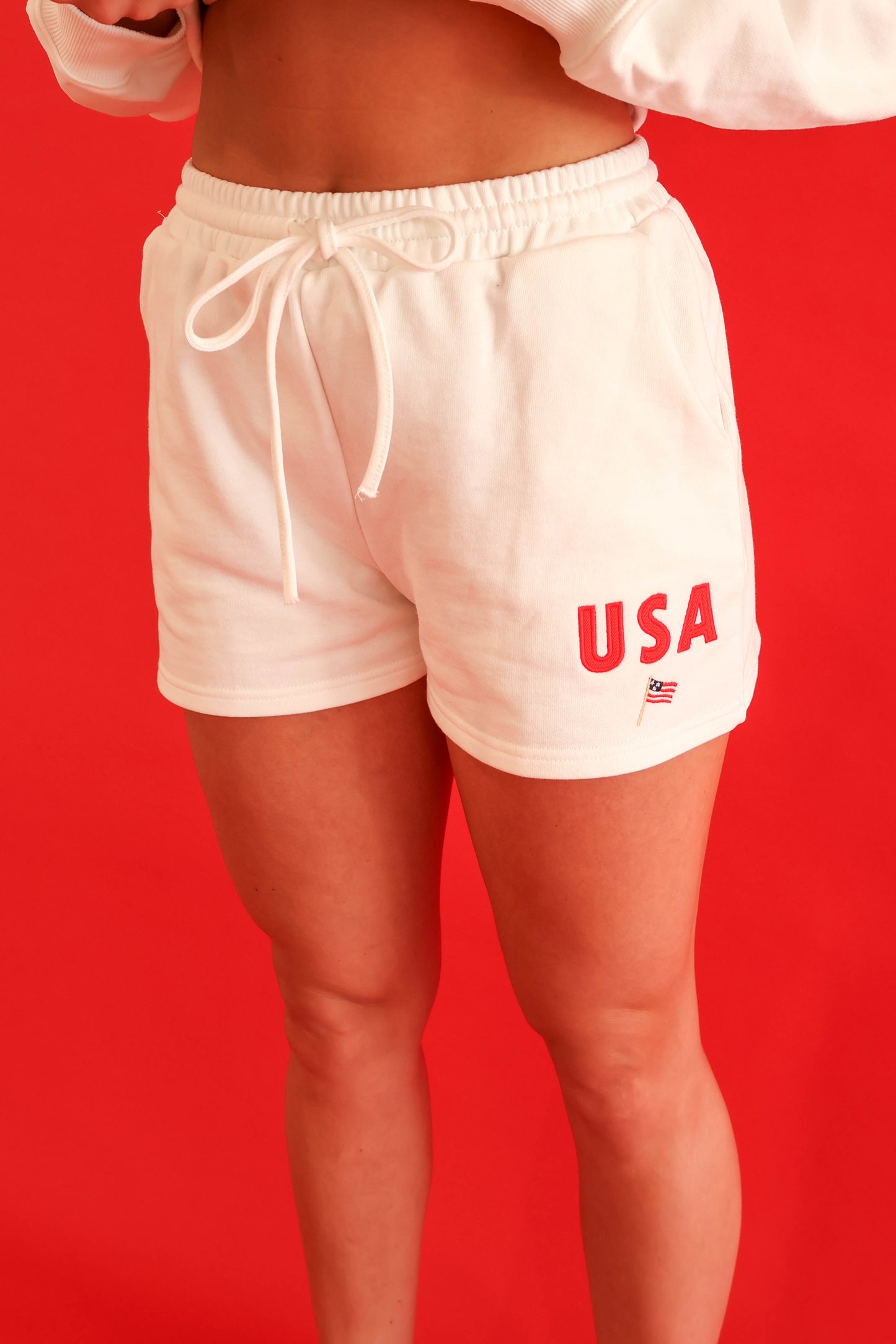 USA Embroidered Shorts